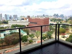 Spottiswoode Residences (D2), Condominium #466477101